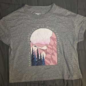 Gray Graphic Womens Crop T-Shirt